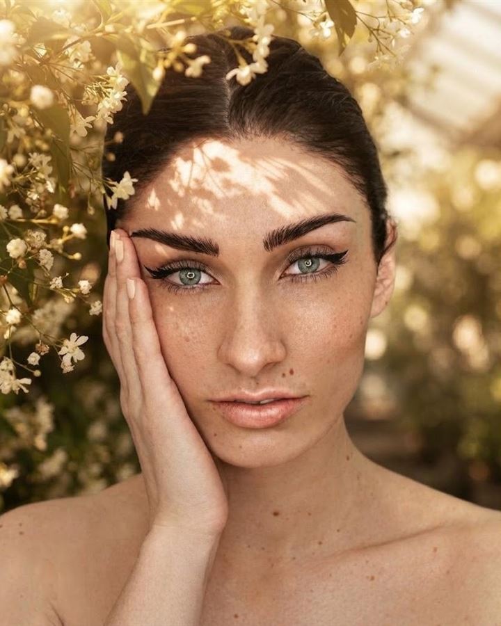 Flores e sol entre folhas: foto feita com prompt